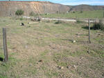 Western Cape, MOSSEL BAY district, Buffelsdrift 191, farm cemetery_1