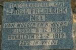 NEL Zarel Frederick 1916-1917