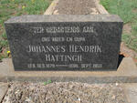 HATTINGH Johannes Hendrik 1879-1950