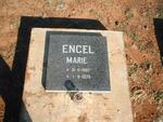 ENGEL Marie 1937-1979