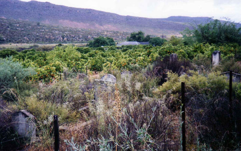 1. The farm Dennehof in the Clanwilliam district