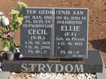 STRYDOM S.B. 1929-2005 & E.T. DU PLESSIS 1932-