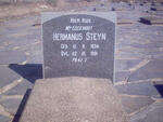 STEYN Hermanus 1834-1901