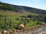Western Cape, RIVERSDALE district, Vermaaklikheid, Vermaaklykheid 499, farm cemetery_02