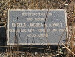 WALT Engela Jacoba, van der 1874-1962