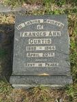 CURTIS Frances Ann 1869-1944