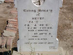 GOODGER Hever -1891 :: GOODGER Arthur -1893