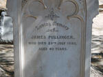PULLINGER James -1880