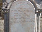 SIMPSON Henry William 1843-1902