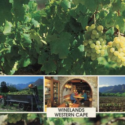 Winelands Western Cape