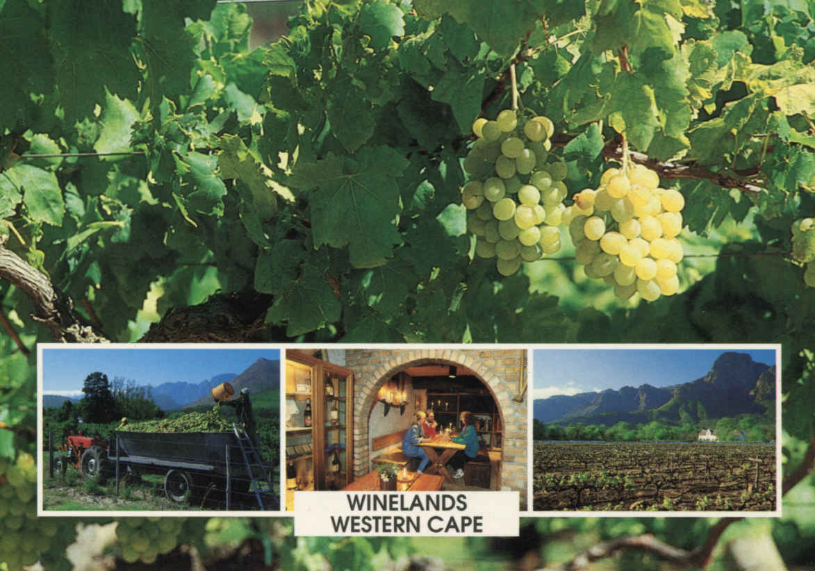 Winelands Western Cape