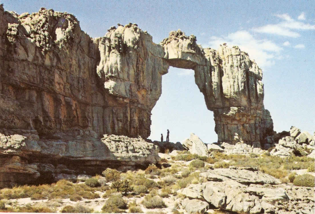 Wolfbergboog in die Sederberg, Kaap