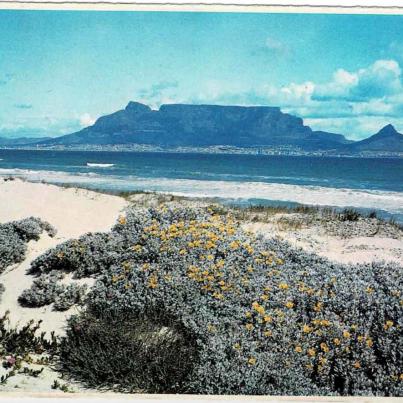 Tafelberg_Table Mountain