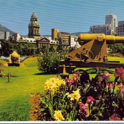 Cape Town from Castle Gardens