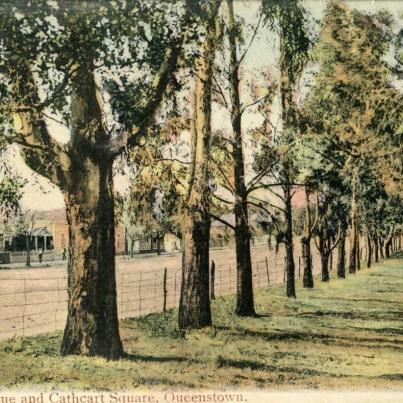 Queenstown Avenue and Cathcart Sq., posted dated 1910
