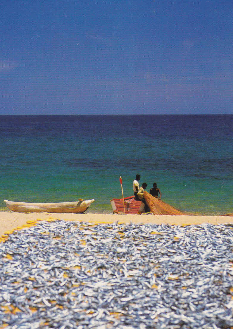 Fishermen, Lake Malawi