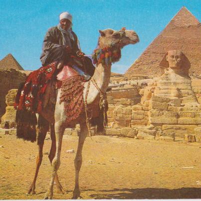 Camel driver near Sphinx and Kafhre Pyramid