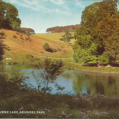 Sussex, Swanbourne Lake, Arundel Park