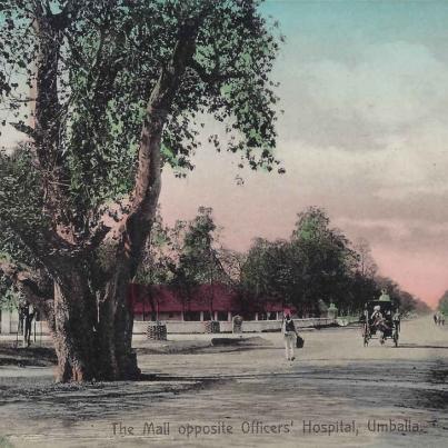 The Mall opposite Offiers Hospital Umballa (Ambala India, where many Boer War Bittereinders were sent to build the British railw