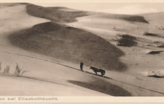 Sand dunes, Elizabeth Bay, Namib