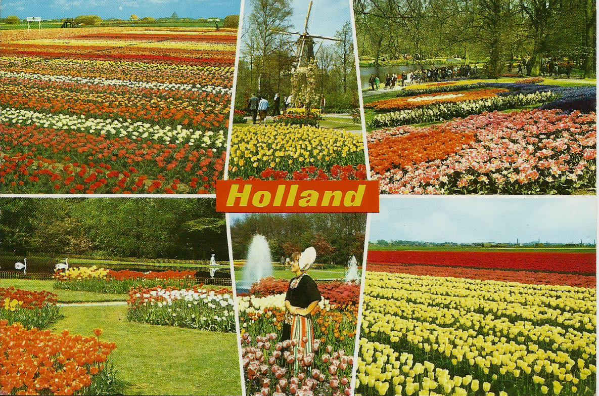 Holland, Holland in bloementooi (flowerdecoration)_2