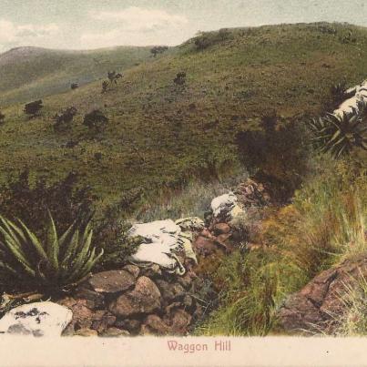 Waggon Hill