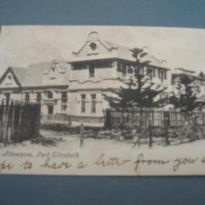 Atheneum Port Elizabeth 1904