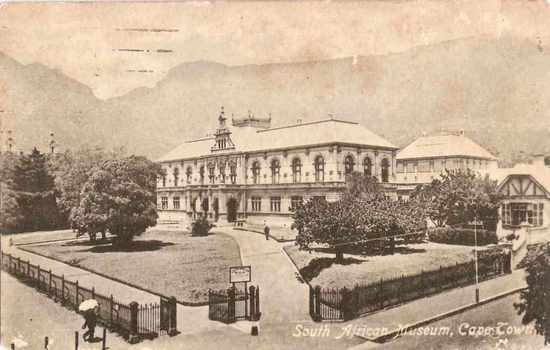 South African Museum 1918