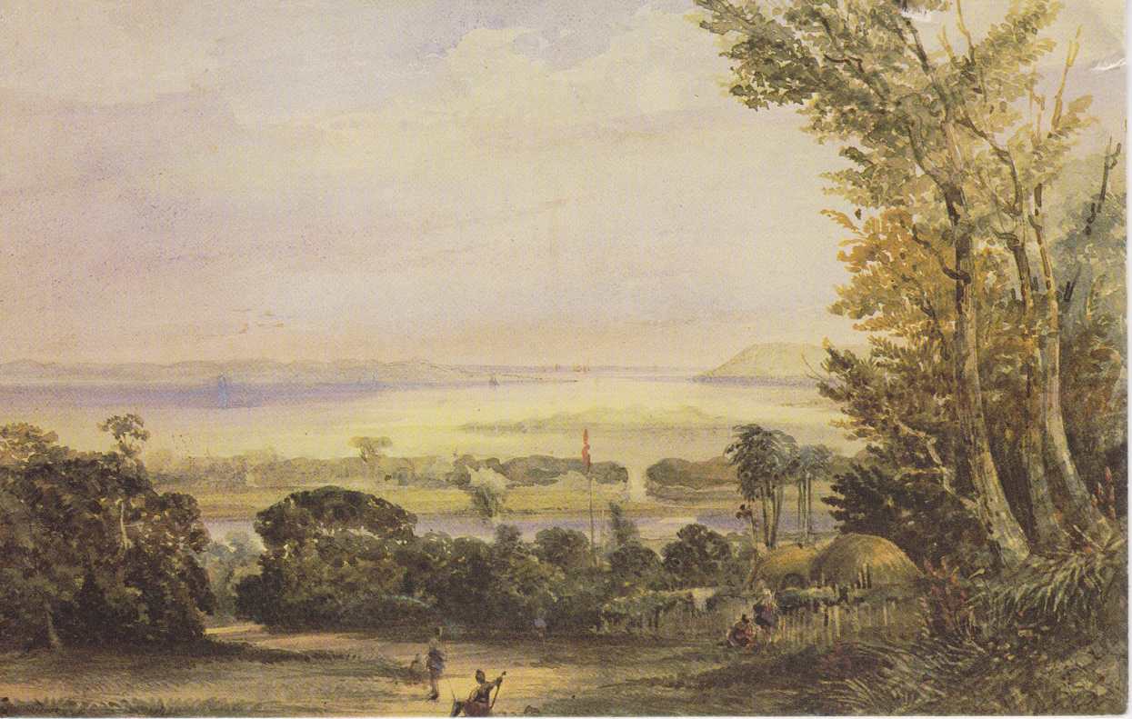 Natal Harbour from Dunn's Hill painted by Thomas William Bowlwer, Greetings Card