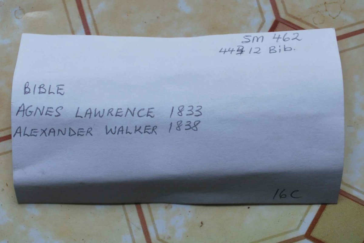 ALBM-SM-462-443-12-BIB_WALKER-LAURENCE_05