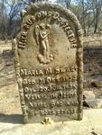 North West, MARICO district, Palmietfontein 92, farm cemetery _1