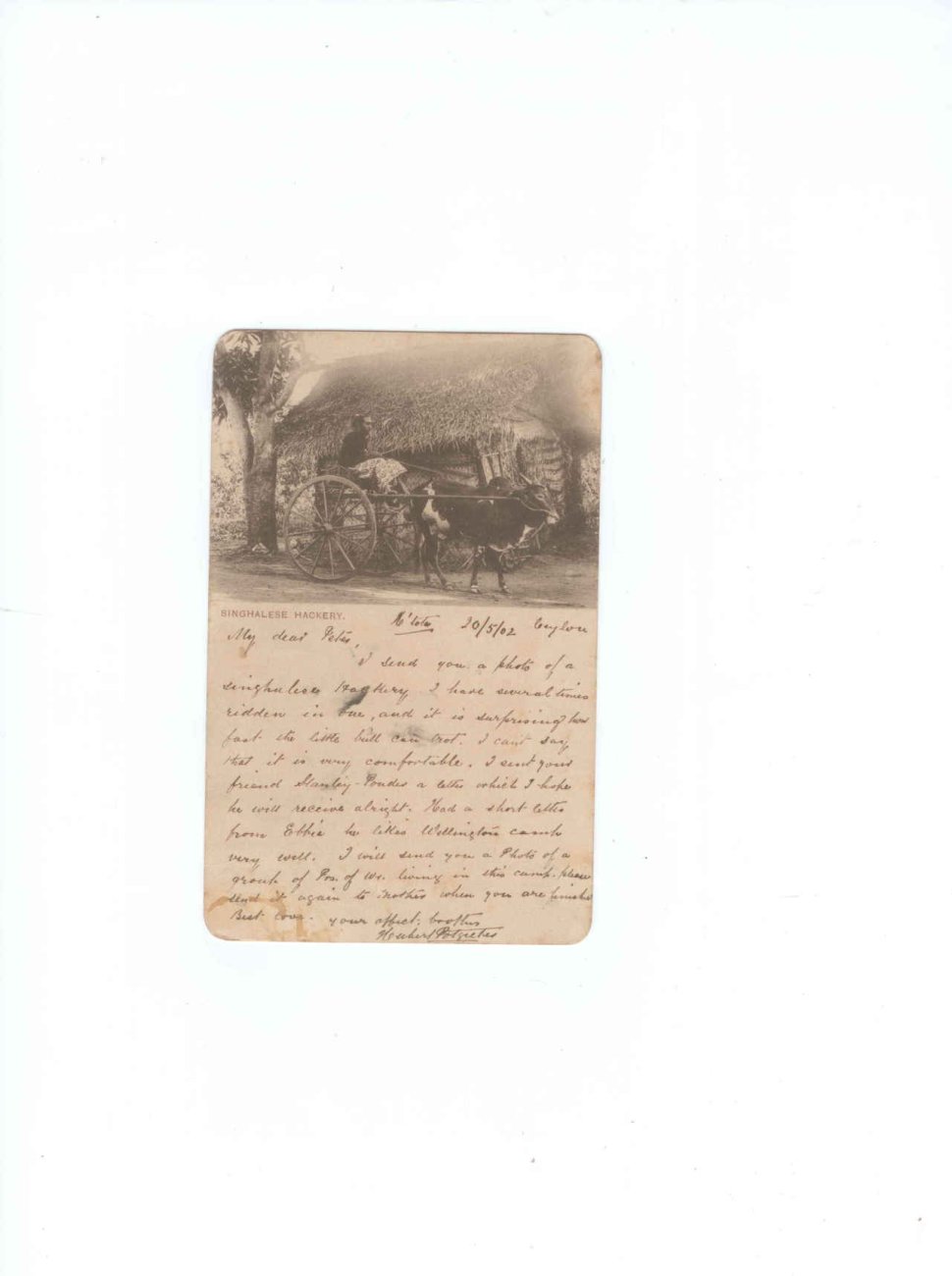 Diyatalwa, Ceylon