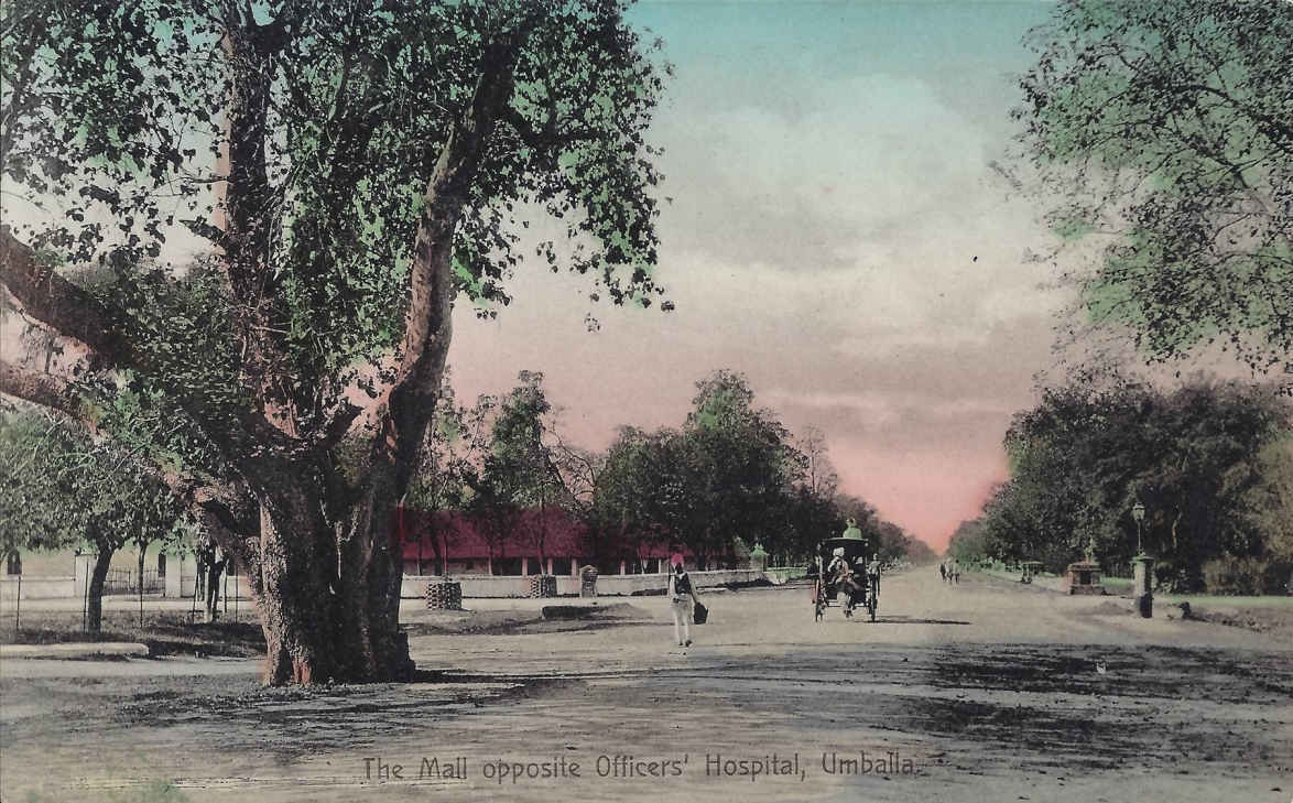 The Mall opposite Offiers Hospital Umballa (Ambala India, where many Boer War Bittereinders were sent to build the British-India