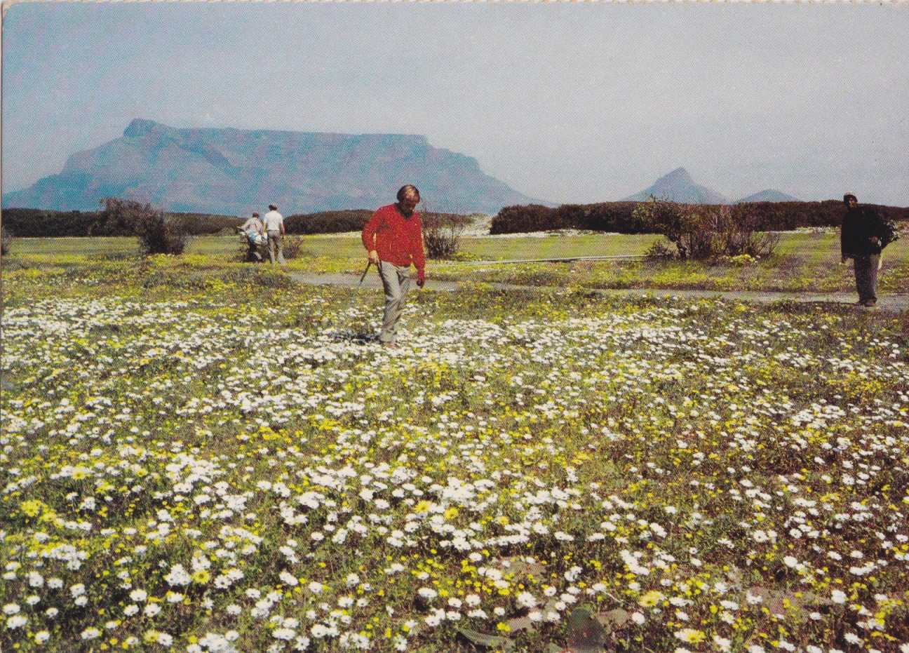 Springtime hazard at Milnerton Gholf Club, Cape