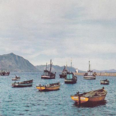 Fishing Boats, Hermanus