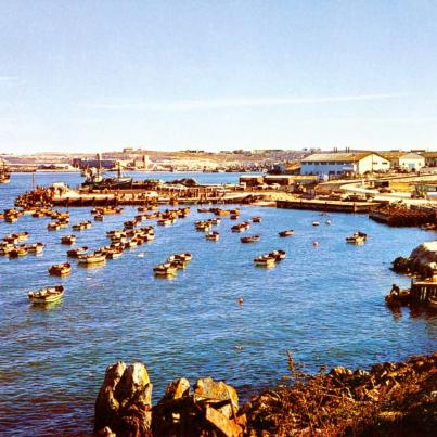 Fishing Jetty Saldahna Bay South Africa