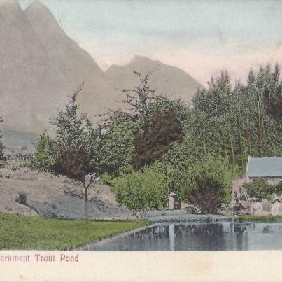 Government Trout pond, Stellenbosch, postal cancellation 1908