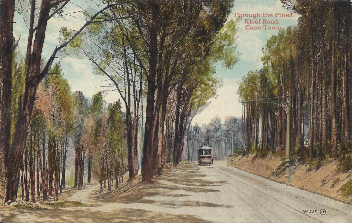 Through the Pines, Kloof Road