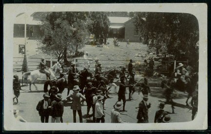 Cape Town 1906 riots refusal to pay poll tax