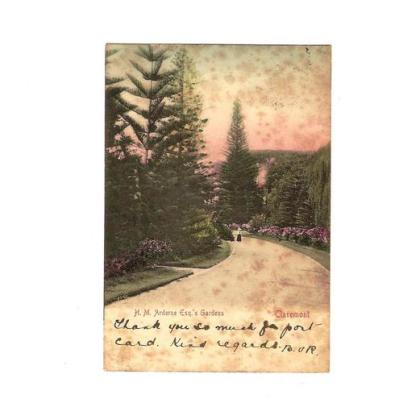 Cape Town, Claremont H.M. Ardene Gardens