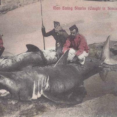 Man eating sharks caught in Simons Bay, postal cancellation 1903