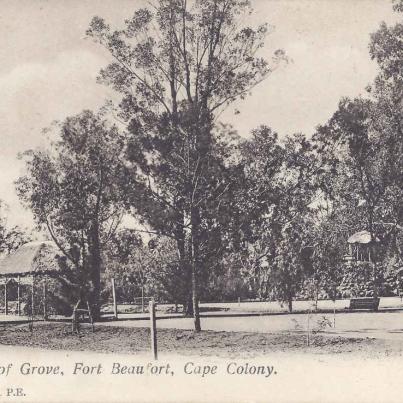 View of the grove, Fort Beaufort, postal cancellation at Grahamstown on 27.8.1906
