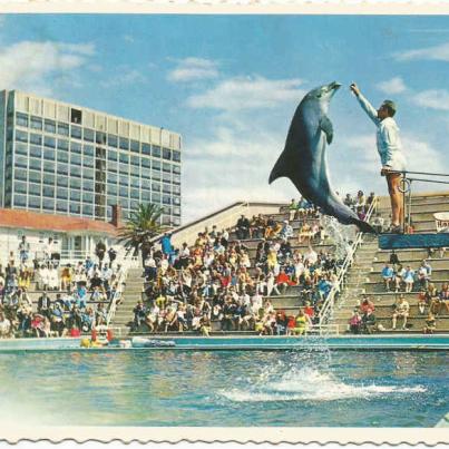 Port Elizabeth, See-akwarium