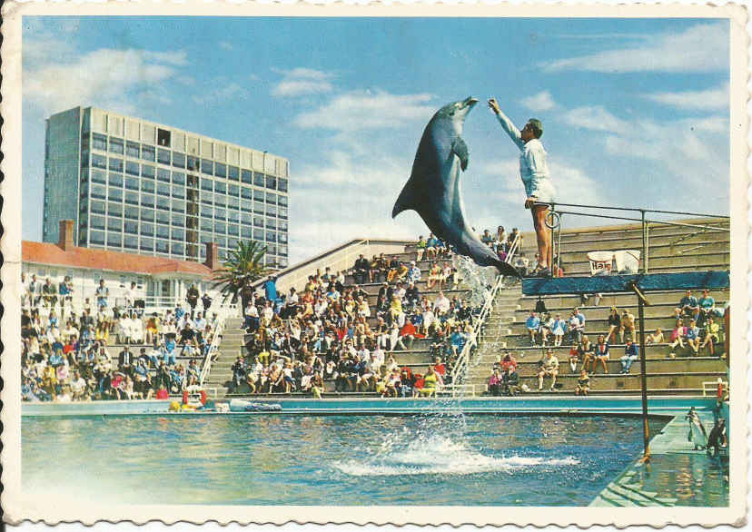 Port Elizabeth, See-akwarium