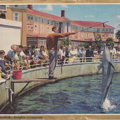 Port Elizabeth Oceanarium