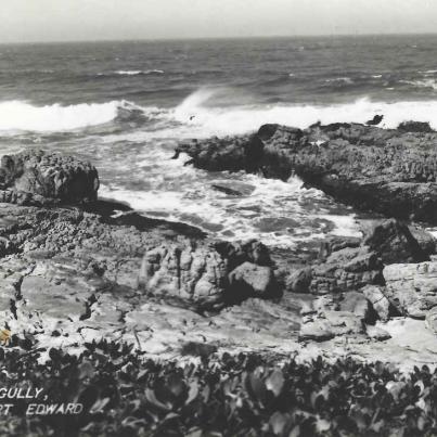 Port Edward_The Gully