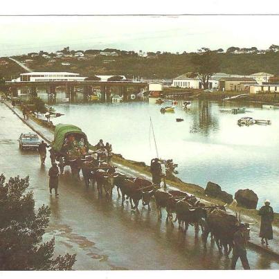 Port Alfred