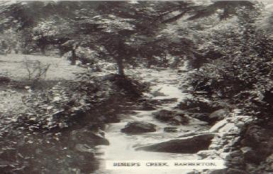 Barberton _Rimers Creek