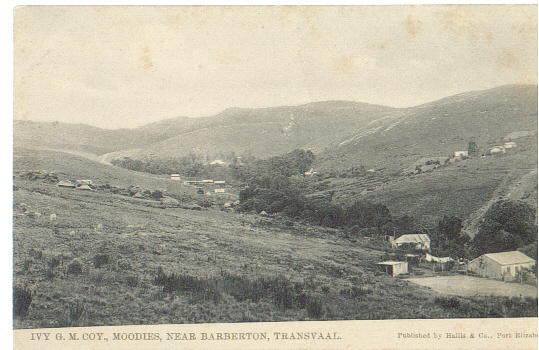 Barberton Ivy Mine at Moodies