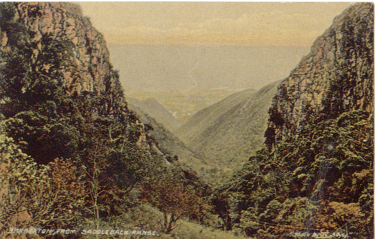 Barberton from Saddle Back 